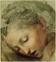 Cabeza de mujer, 1568