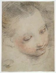 Cabeza de niña, estudio para una figura en el retablo de Madonna del Popolo en los Uffizi