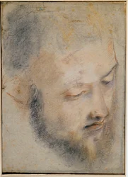 Estudio de cabeza - Dibujo de Barocci
