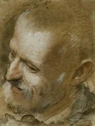 Estudio de la cabeza de un hombre barbudo girado a la izquierda, 1590