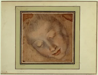 Cabeza de mujer con ojos firmes