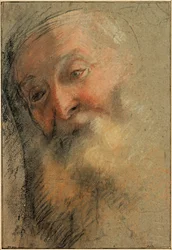 Cabeza de un anciano con barba, 1584-1586