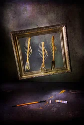 Naturaleza muerta creativa con espina de pescado