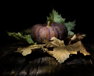 Calabaza de otoño oscura