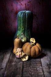 Naturaleza muerta de «Cosecha oscura»