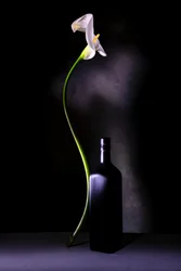 Elegante naturaleza muerta con calas