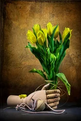 Tulipanes dorados y una mano