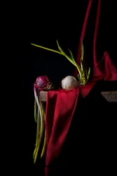 Cebollas de brote Moody