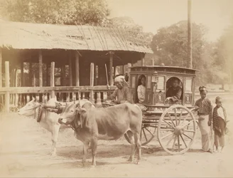 Carruaje público birmano