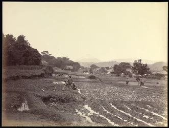Fujiyama desde la Nueva Carretera