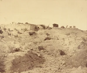 Picquet de la Casa Sammy