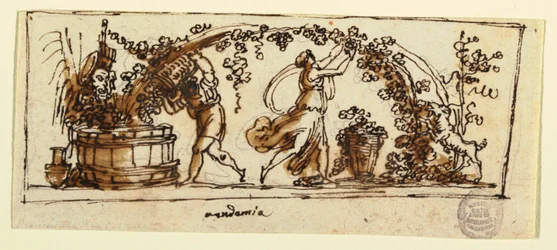 Elaboración de vino