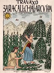 Imperio Inca: campesinos incas trabajando en los campos en mayo - Dibujo a tinta del manuscrito 