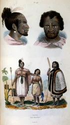 Ilustración antropológica de la raza maorí