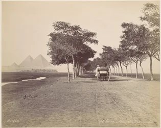 El Cairo. Avenida de las Pirámides