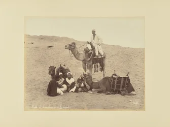 Parada de conductores de camellos en el desierto