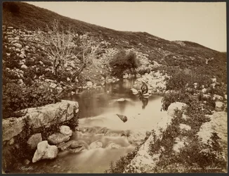 La fuente de Eliseo, Palestina