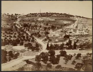 Monte de los Olivos, Jerusalén