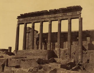 Columnata independiente frente a un templo en Palmira, Siria