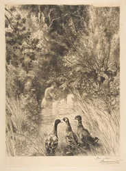 Patos sorprendidos, 1882