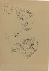 Pollitos