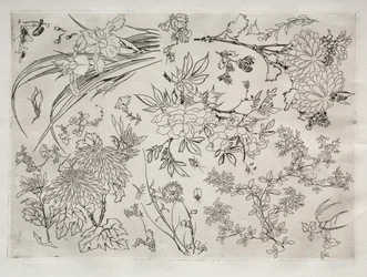 Servicio de Cena (servicio Rousseau): Flores (n.º 23)