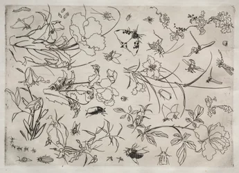 Servicio de Cena (servicio Rousseau): Flores e Insectos (n.º 15)