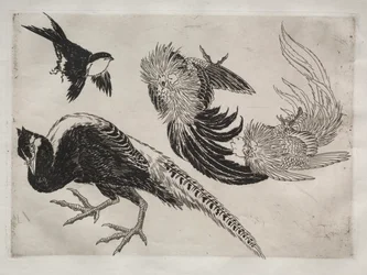 Servicio de Cena (servicio Rousseau): Faisanes y pájaro (n.º 18)