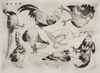 Servicio de Cena (servicio Rousseau): Gallos, patos, etc. (n.º 13)