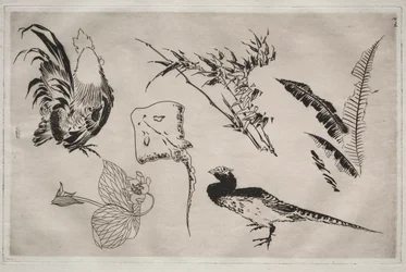Servicio de Cena (servicio Rousseau): Gallos, raya, plantas, etc. (n.º 9)