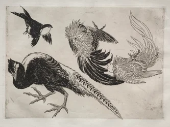 Servicio de cena Rousseau: Faisanes y pájaro n.° 18