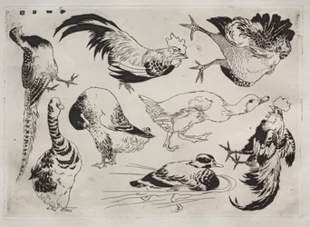 Servicio de cena Rousseau: Gallos, patos, etc. no. 13, 1866