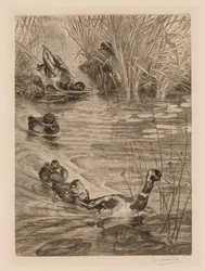 Patos jugando, c. 1870