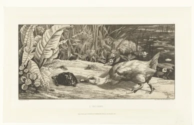 Pato y tortuga en la orilla de la zanja
L
