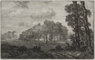 Paisaje, después de Français