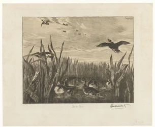 Paisaje con cercetas en el agua entre juncos
Sarcelles (título en el objeto)