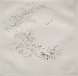 Servicio parisino (servicio Haviland): Niebla (no. 1)