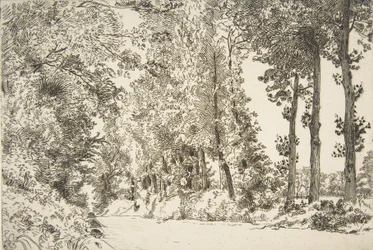 Rue des Bruyères, en Sèvres, 1868