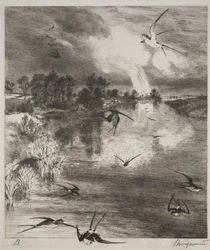 Golondrinas, 1882