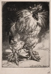 El gallo francés, 1893.