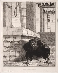La cuervo