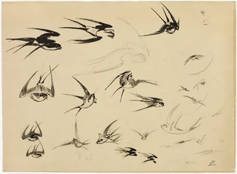 Las golondrinas, c.1881 (pluma, pincel, tinta, tiza, lápiz de color y grafito sobre papel)