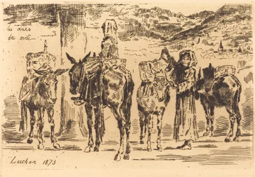 Hojas de Anes del Midi