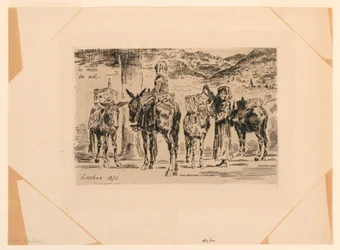 Los Burros del Mediodía