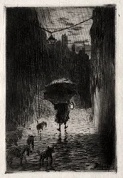 Lluvia y paraguas