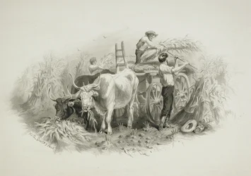 Escena de henificación