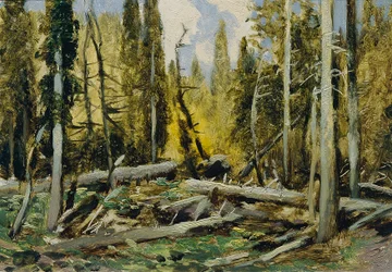 Šumava (del portafolio "16 vistas de paisajes checos 