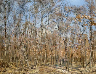 Bosque de hayas, 1885-1894