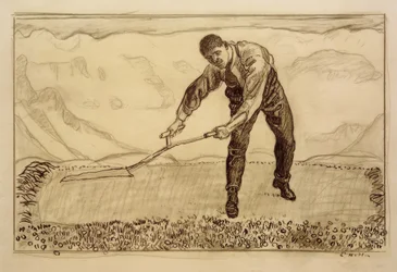 Segadores en el campo