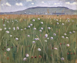 Pieza de pradera, c.1901